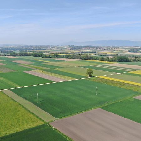 Les Moucherons Avenches Dış mekan fotoğraf