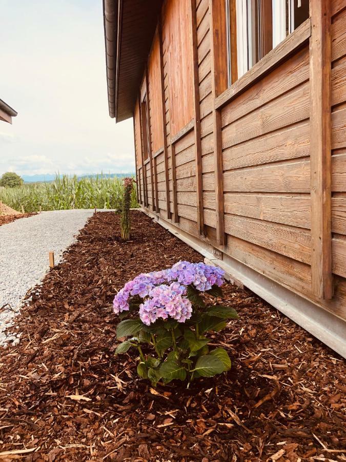 Les Moucherons Avenches Dış mekan fotoğraf