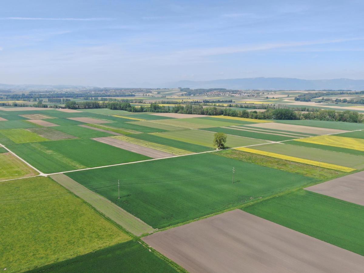 Les Moucherons Avenches Dış mekan fotoğraf
